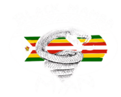 Black Mamba Man